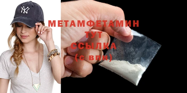 гидра Белокуриха