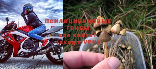 гидра Белокуриха