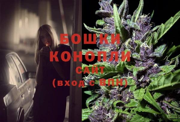 гидра Белокуриха