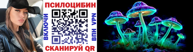 Галлюциногенные грибы MAGIC MUSHROOMS  блэк спрут как зайти  Кузнецк 