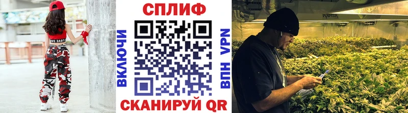 купить наркоту  Кузнецк  Шишки марихуана индика 